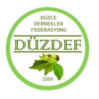 DÜZDEF